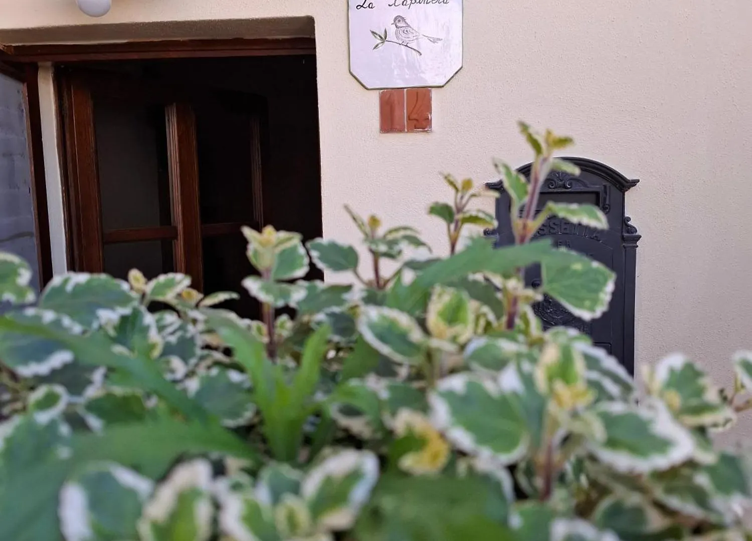 La Capinera Apartment Montepescali
